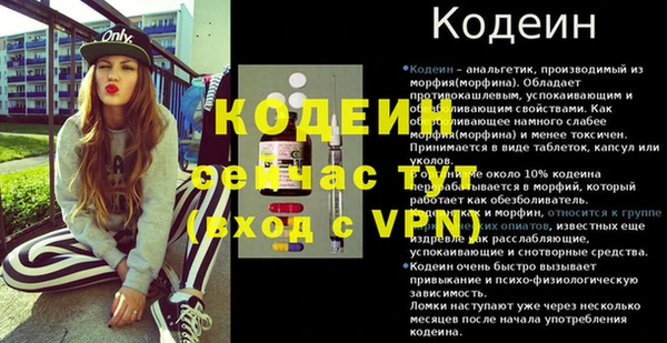 мдпв Горнозаводск