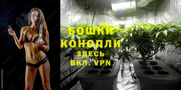 мдпв Горнозаводск