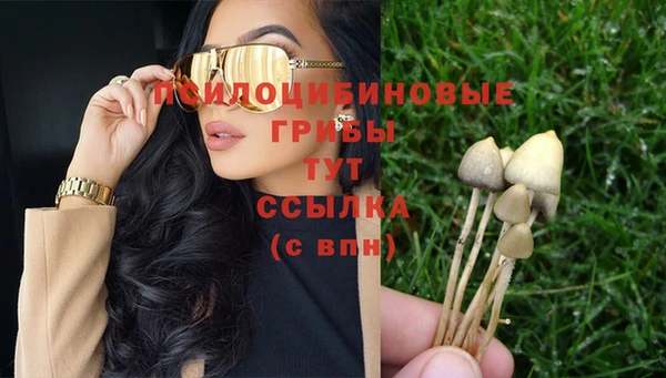 мдпв Горнозаводск